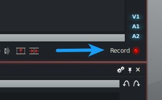 Lightworks Record Button